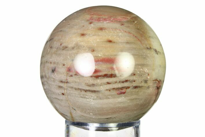 Colorful Petrified Wood (Araucaria) Sphere - Madagascar #317290